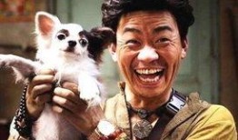 邢台王宝强最新爆料,揭秘婚姻内幕引关注