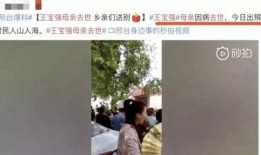 邢台王宝强最新爆料,揭秘婚姻内幕引关注